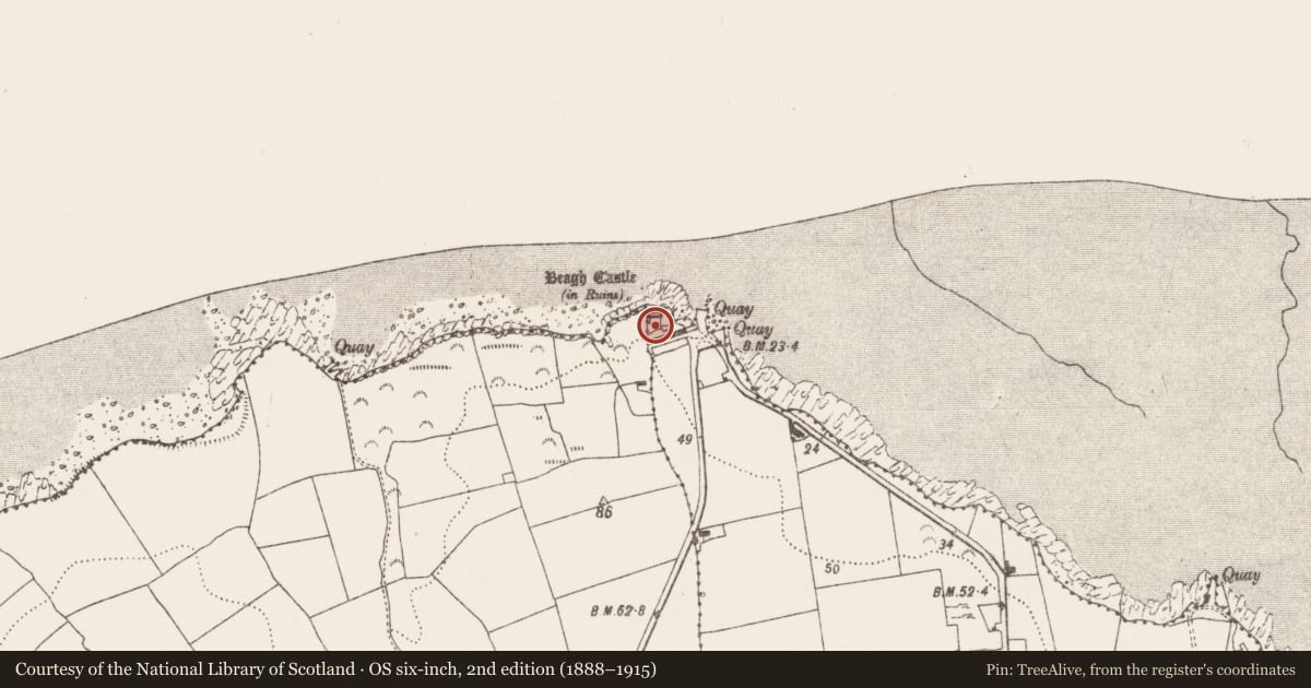Ordnance Survey six-inch map, 2nd edition (1888–1915) covering the location of Courtyard, Beagh, County Limerick, with a pin at the register's coordinates