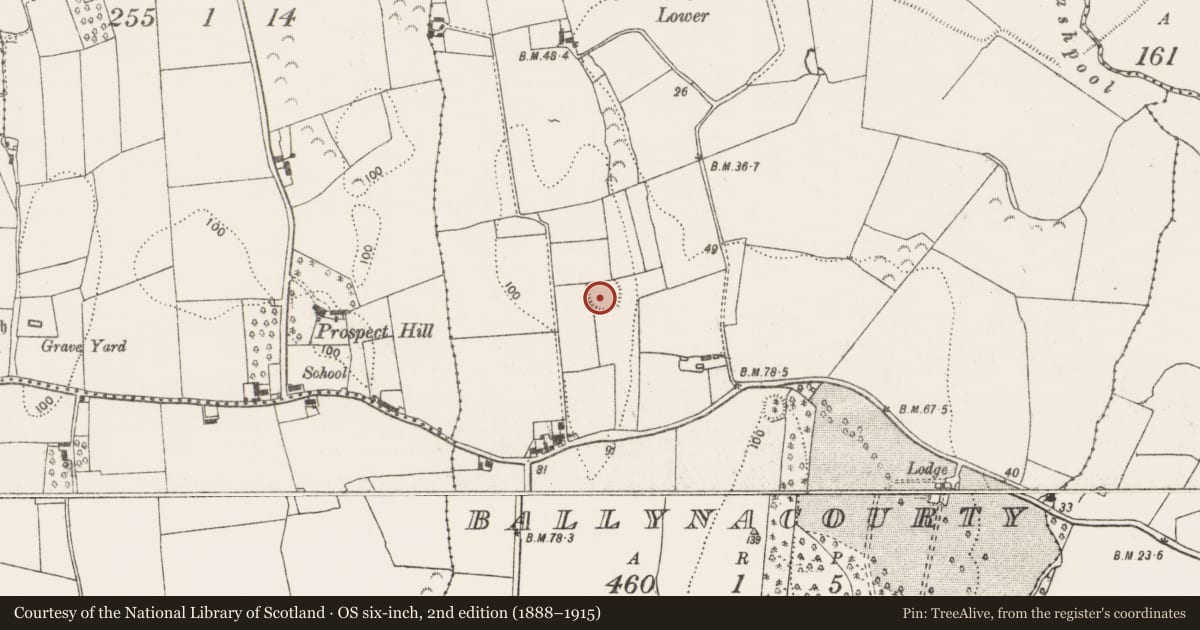 Ordnance Survey six-inch map, 2nd edition (1888–1915) covering the location of Ringfort - rath, Ballynacourty, County Limerick, with a pin at the register's coordinates
