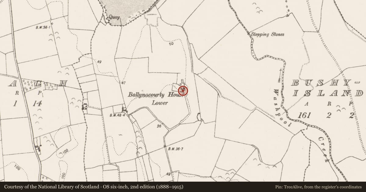 Ordnance Survey six-inch map, 2nd edition (1888–1915) covering the location of Country house, Ballynacourty, County Limerick, with a pin at the register's coordinates