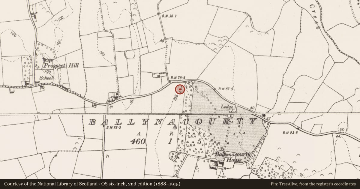 Ordnance Survey six-inch map, 2nd edition (1888–1915) covering the location of Ringfort - rath, Ballynacourty, County Limerick, with a pin at the register's coordinates