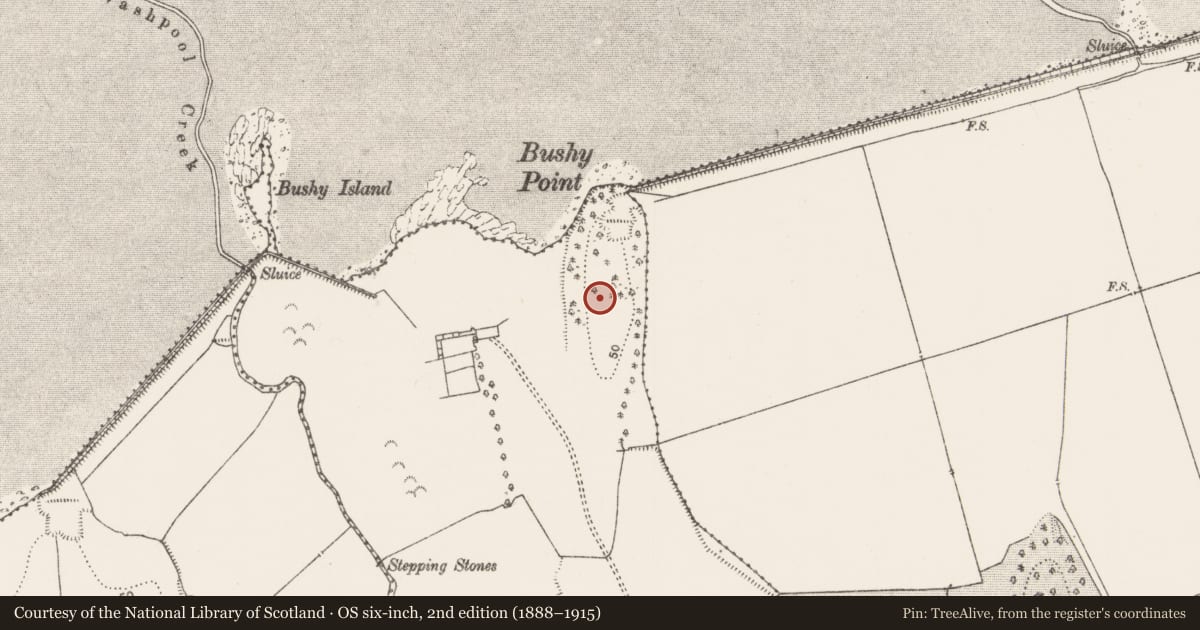 Ordnance Survey six-inch map, 2nd edition (1888–1915) covering the location of Ringfort - unclassified, Bushyisland, County Limerick, with a pin at the register's coordinates