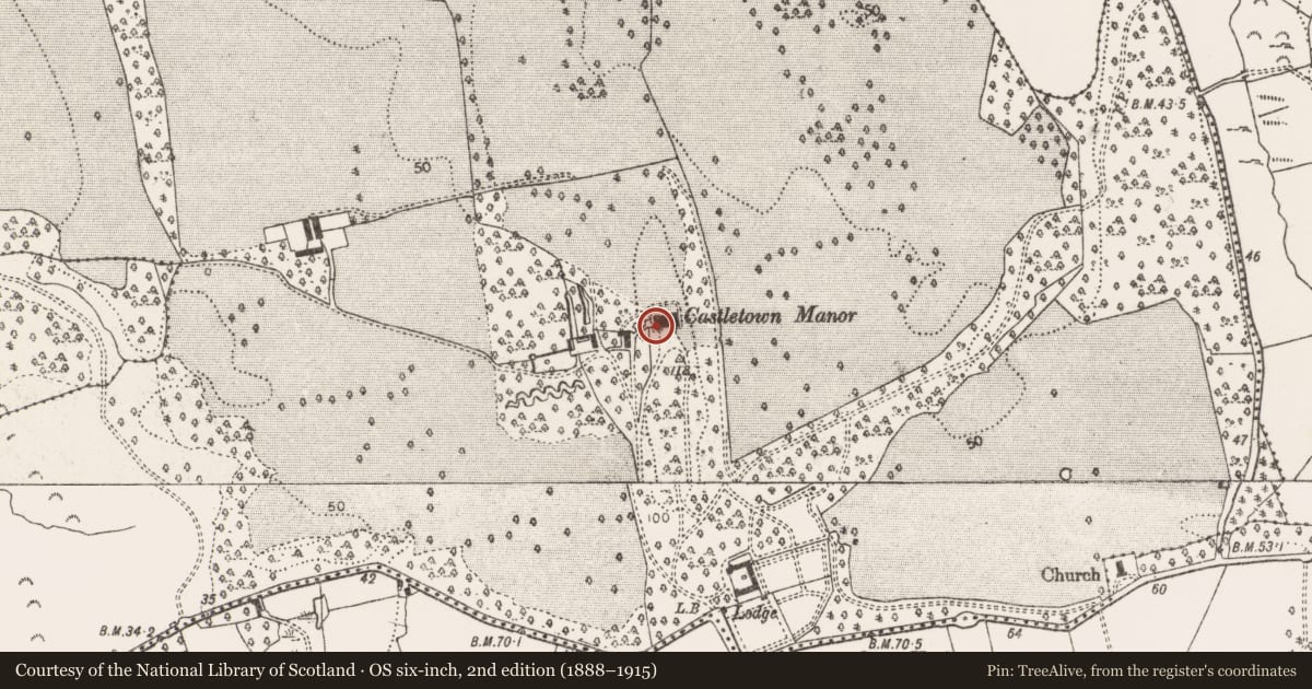 Ordnance Survey six-inch map, 2nd edition (1888–1915) covering the location of Castle - unclassified, Castletown, County Limerick, with a pin at the register's coordinates
