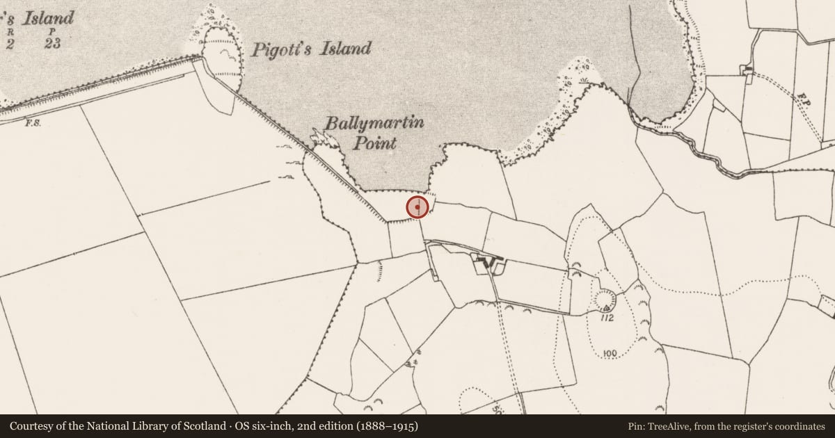 Ordnance Survey six-inch map, 2nd edition (1888–1915) covering the location of Dam, Ballymartin, County Limerick, with a pin at the register's coordinates