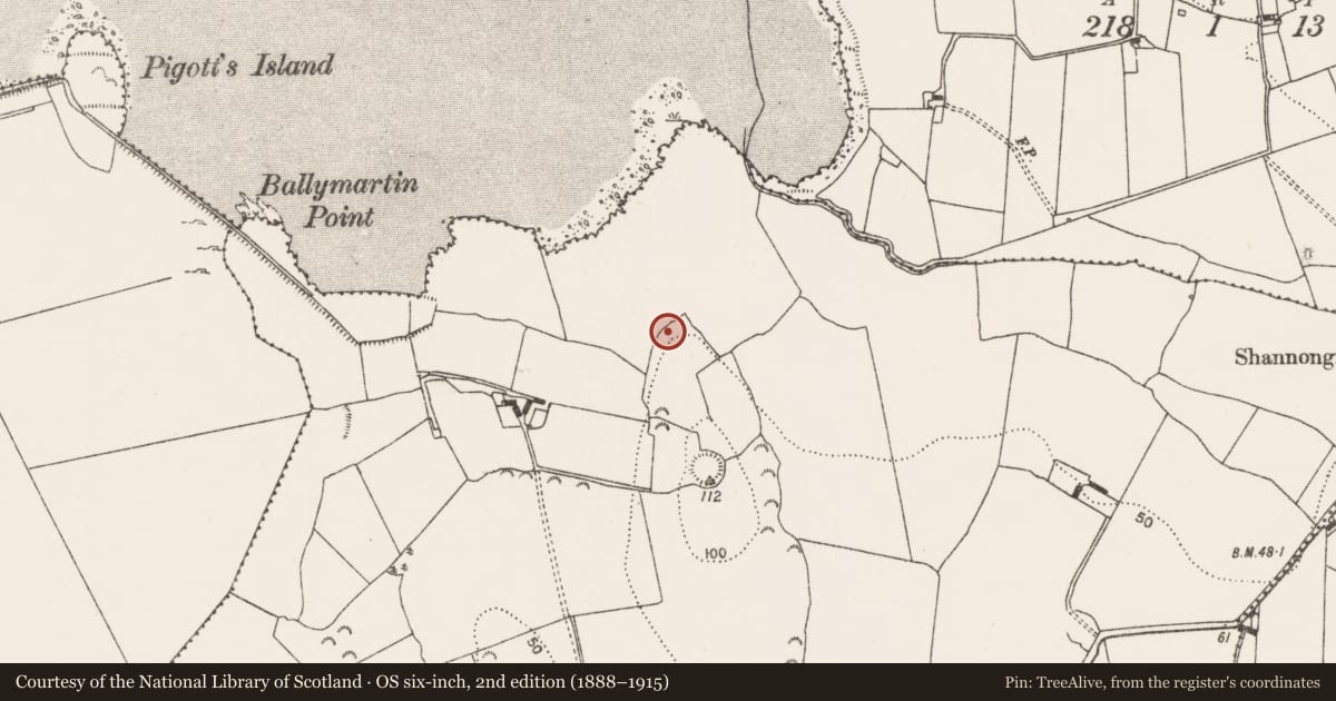 Ordnance Survey six-inch map, 2nd edition (1888–1915) covering the location of Dam, Ballymartin, County Limerick, with a pin at the register's coordinates