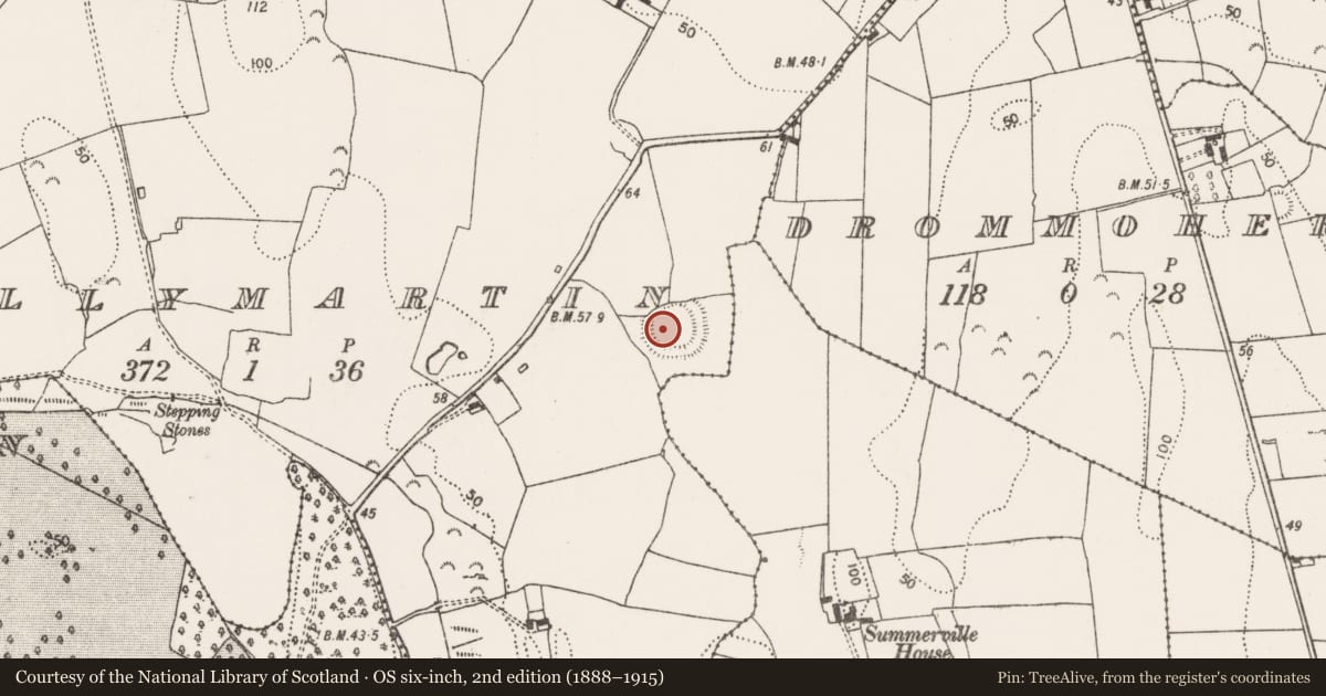 Ordnance Survey six-inch map, 2nd edition (1888–1915) covering the location of Ringfort - rath, Ballymartin, County Limerick, with a pin at the register's coordinates