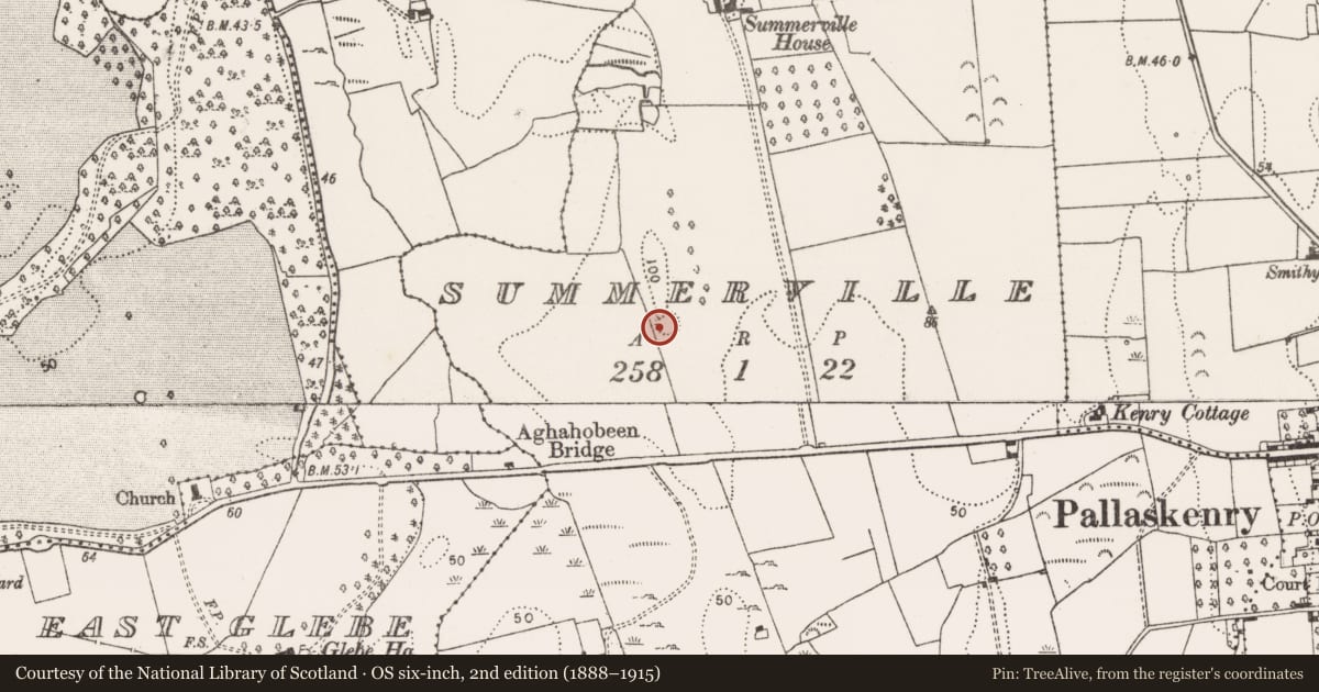 Ordnance Survey six-inch map, 2nd edition (1888–1915) covering the location of Ringfort - rath, Summerville, County Limerick, with a pin at the register's coordinates
