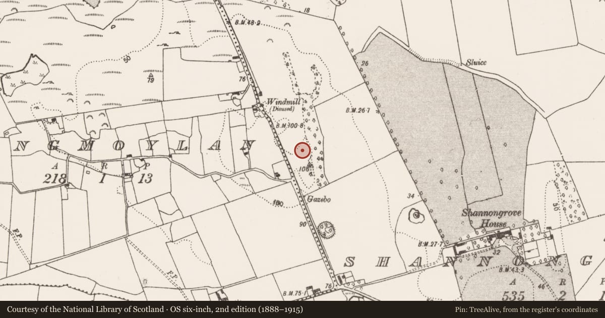 Ordnance Survey six-inch map, 2nd edition (1888–1915) covering the location of Anomalous stone group, Shannongrove, County Limerick, with a pin at the register's coordinates