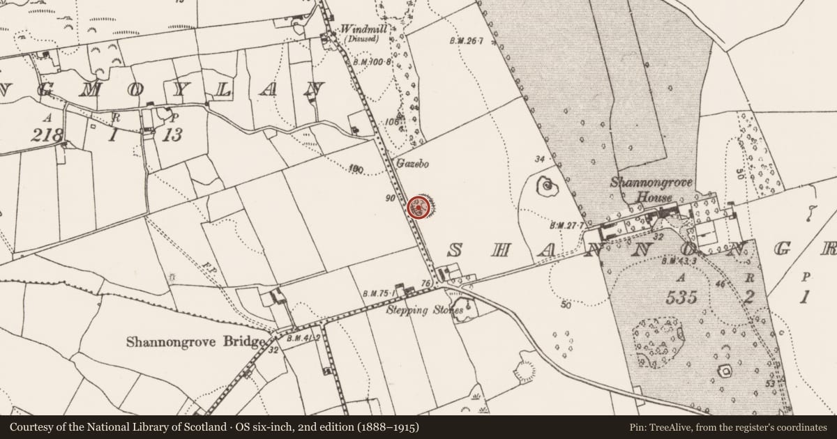 Ordnance Survey six-inch map, 2nd edition (1888–1915) covering the location of Ringfort - rath, Shannongrove, County Limerick, with a pin at the register's coordinates