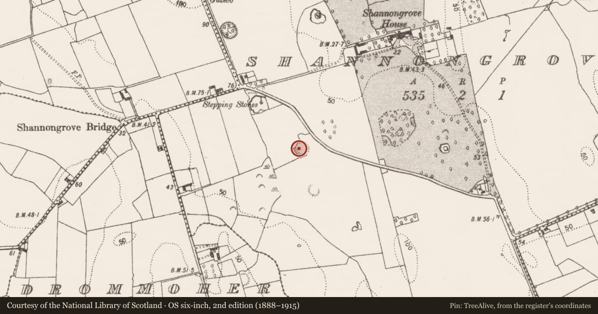 Ordnance Survey six-inch map, 2nd edition (1888–1915) covering the location of Ringfort - rath, Shannongrove, County Limerick, with a pin at the register's coordinates