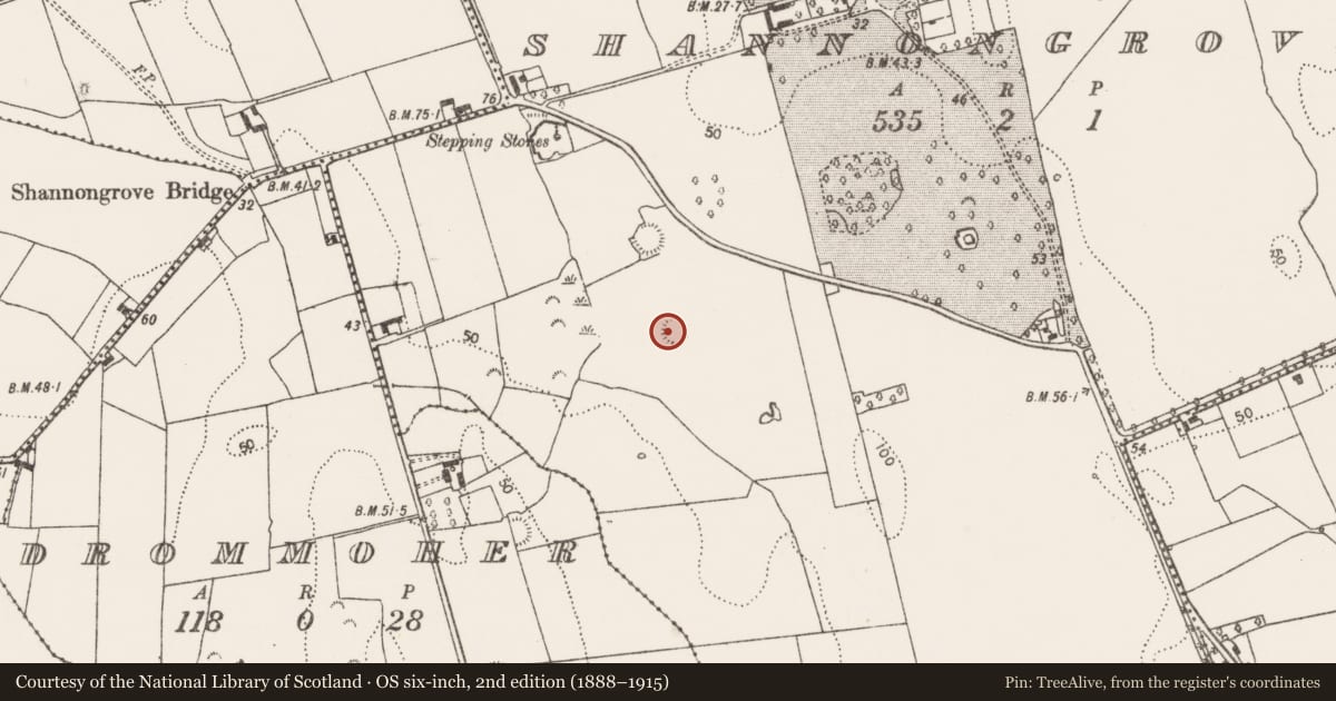 Ordnance Survey six-inch map, 2nd edition (1888–1915) covering the location of Ringfort - rath, Shannongrove, County Limerick, with a pin at the register's coordinates