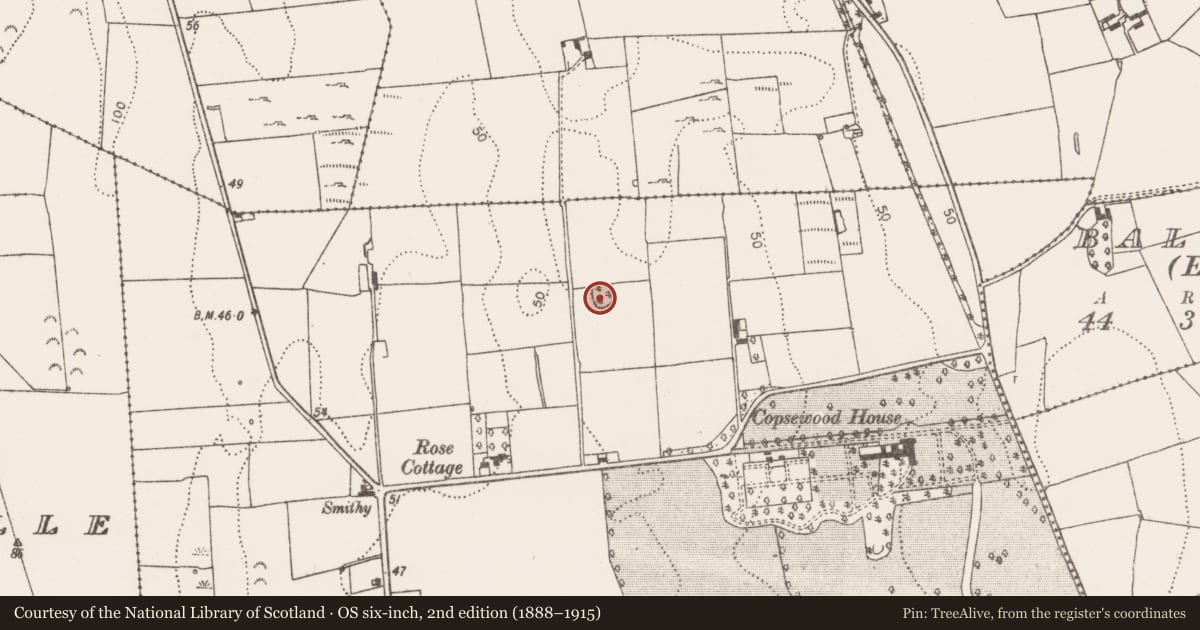 Ordnance Survey six-inch map, 2nd edition (1888–1915) covering the location of Ringfort - rath, Pallas, County Limerick, with a pin at the register's coordinates