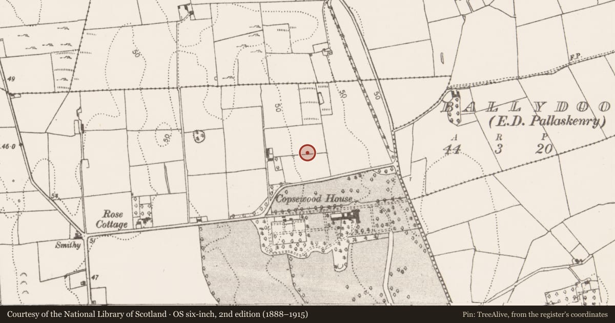 Ordnance Survey six-inch map, 2nd edition (1888–1915) covering the location of Enclosure, Pallas, County Limerick, with a pin at the register's coordinates
