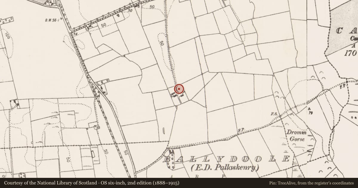Ordnance Survey six-inch map, 2nd edition (1888–1915) covering the location of Ringfort - rath, Ballydoole, County Limerick, with a pin at the register's coordinates