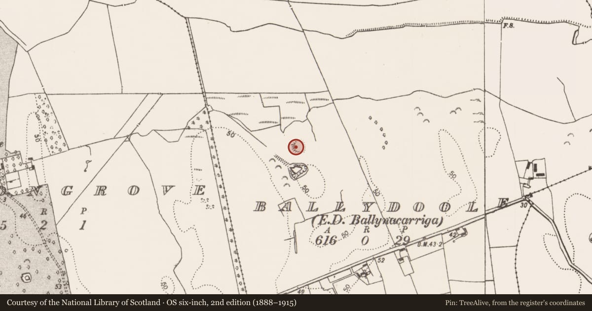 Ordnance Survey six-inch map, 2nd edition (1888–1915) covering the location of Ringfort - rath, Ballydoole, County Limerick, with a pin at the register's coordinates