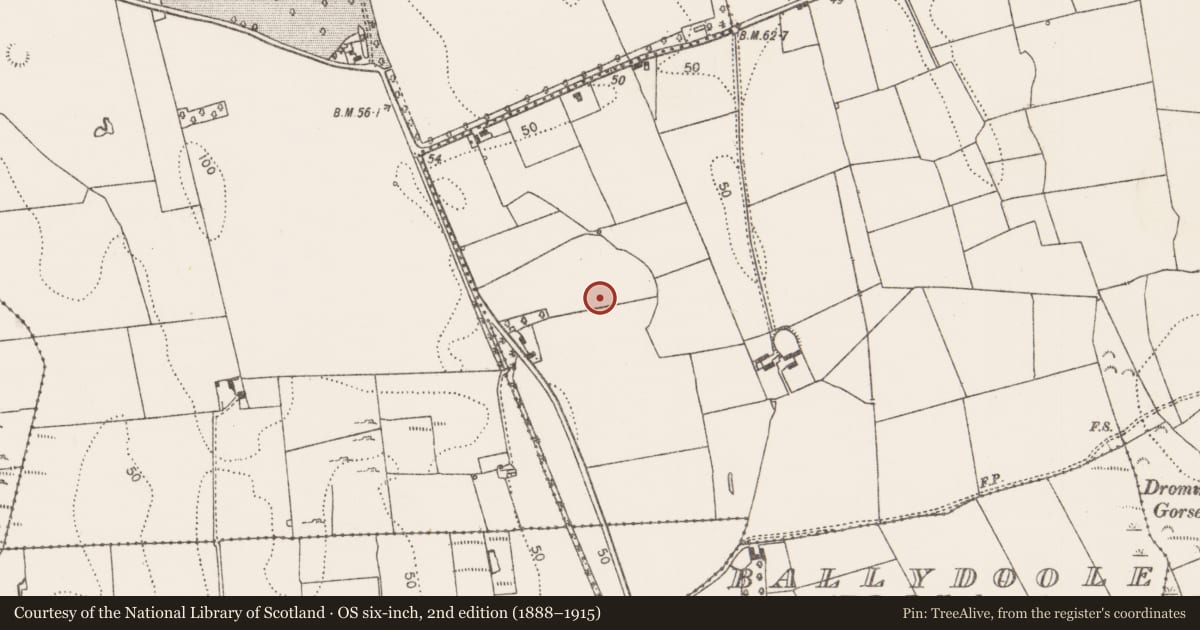 Ordnance Survey six-inch map, 2nd edition (1888–1915) covering the location of Enclosure, Ballydoole, County Limerick, with a pin at the register's coordinates
