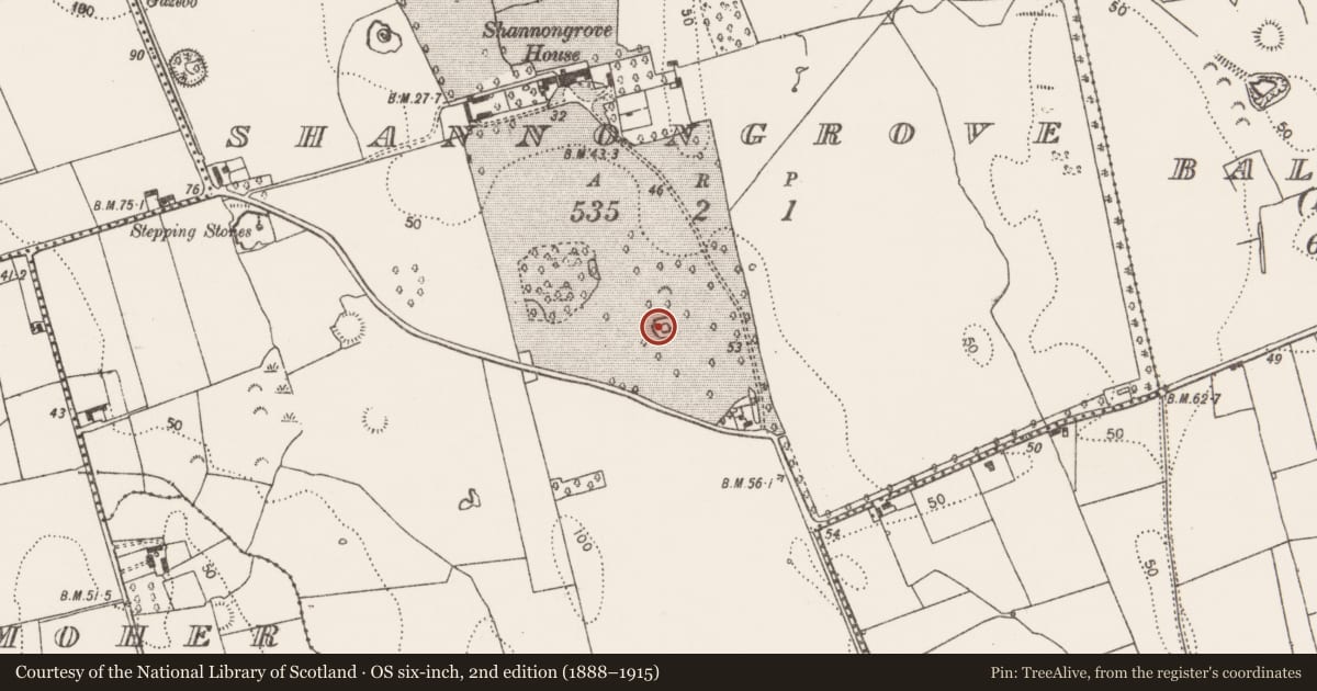 Ordnance Survey six-inch map, 2nd edition (1888–1915) covering the location of Icehouse, Shannongrove, County Limerick, with a pin at the register's coordinates