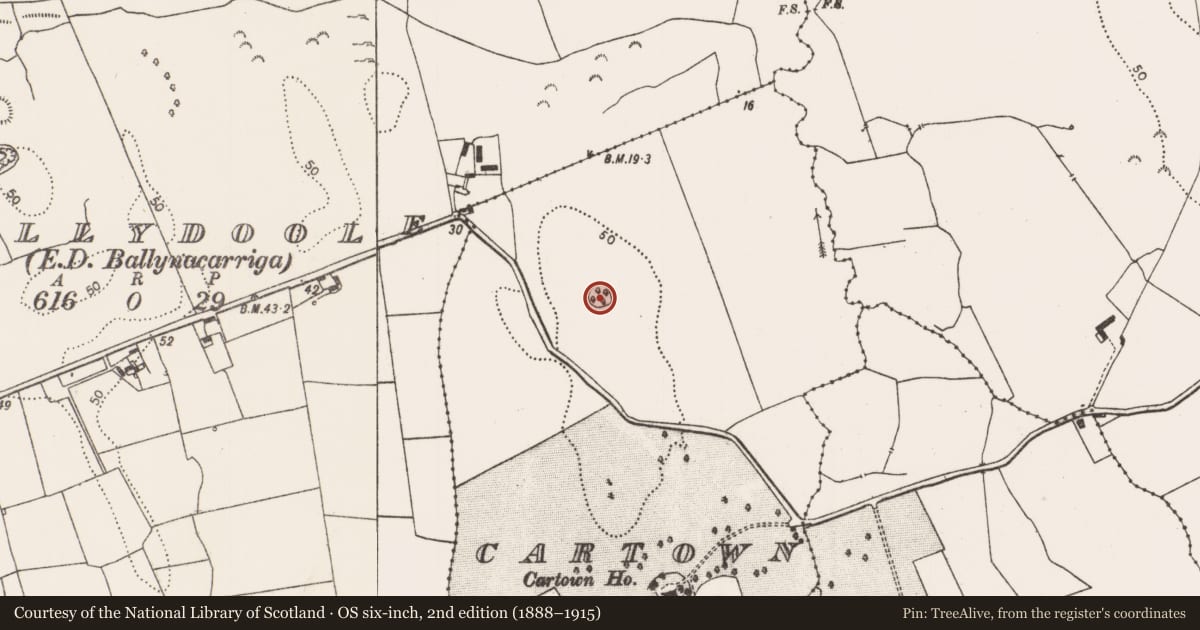 Ordnance Survey six-inch map, 2nd edition (1888–1915) covering the location of Ringfort - rath, Cartown, County Limerick, with a pin at the register's coordinates