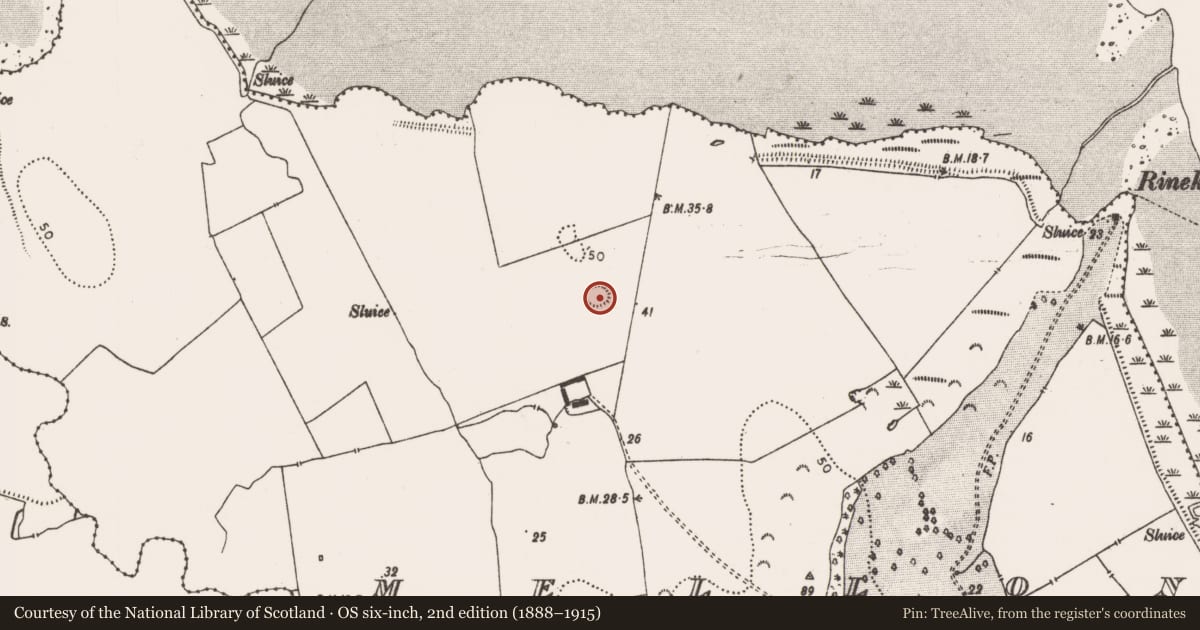 Ordnance Survey six-inch map, 2nd edition (1888–1915) covering the location of Ringfort - rath, Mellon, County Limerick, with a pin at the register's coordinates