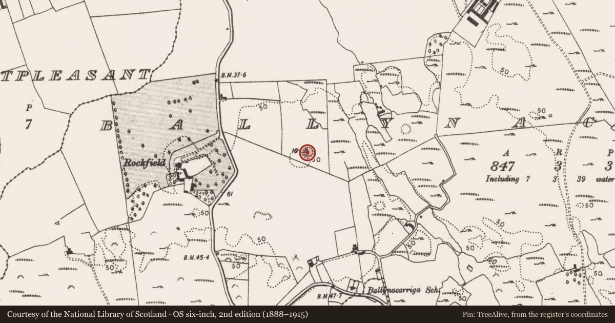 Ordnance Survey six-inch map, 2nd edition (1888–1915) covering the location of Ringfort - rath, Ballynacarriga, County Limerick, with a pin at the register's coordinates