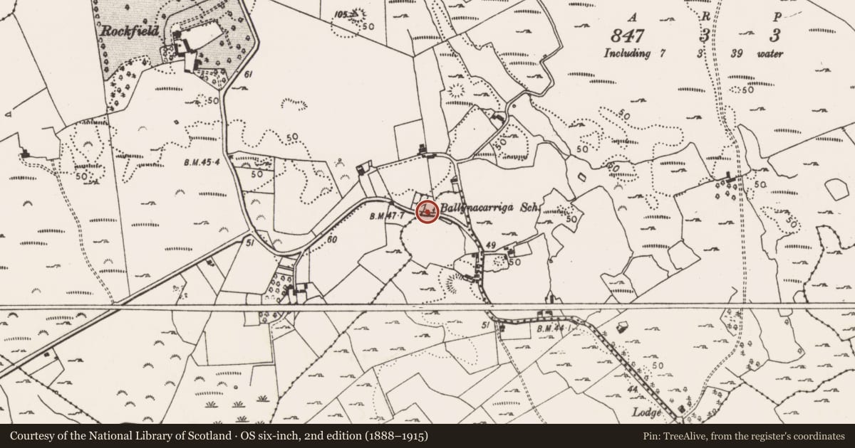 Ordnance Survey six-inch map, 2nd edition (1888–1915) covering the location of Ringfort - rath, Ballynacarriga, County Limerick, with a pin at the register's coordinates