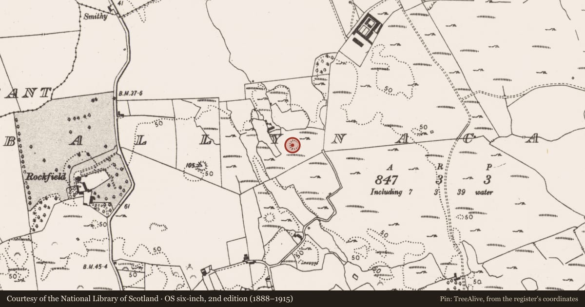 Ordnance Survey six-inch map, 2nd edition (1888–1915) covering the location of Ringfort - cashel, Ballynacarriga, County Limerick, with a pin at the register's coordinates