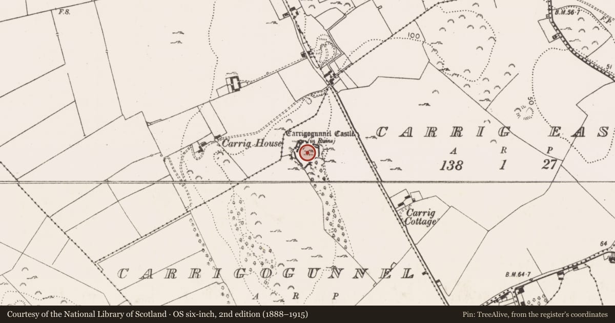 Ordnance Survey six-inch map, 2nd edition (1888–1915) covering the location of Castle - Anglo-Norman masonry castle, Carrigogunnel, County Limerick, with a pin at the register's coordinates