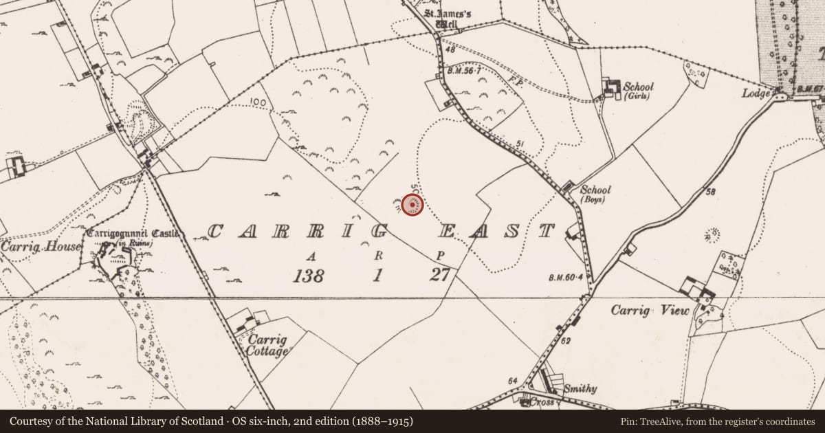 Ordnance Survey six-inch map, 2nd edition (1888–1915) covering the location of Ringfort - rath, Carrig East, County Limerick, with a pin at the register's coordinates