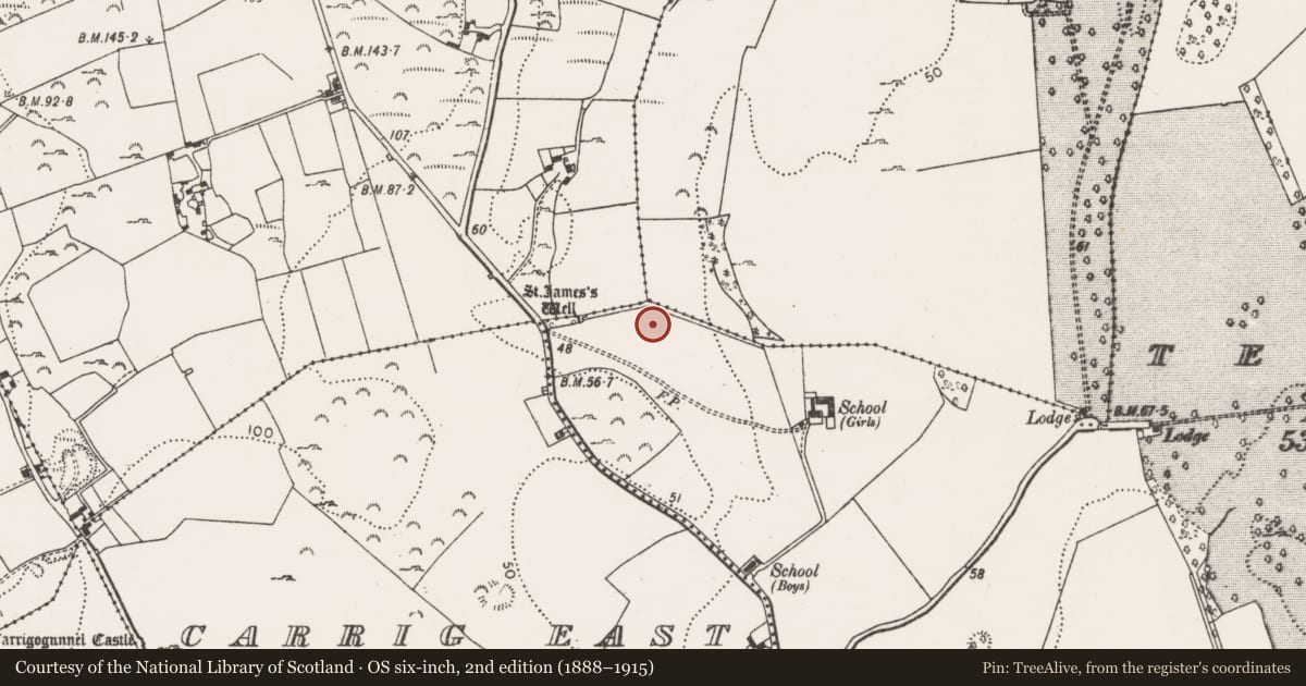 Ordnance Survey six-inch map, 2nd edition (1888–1915) covering the location of Ringfort - rath, Tervoe, County Limerick, with a pin at the register's coordinates