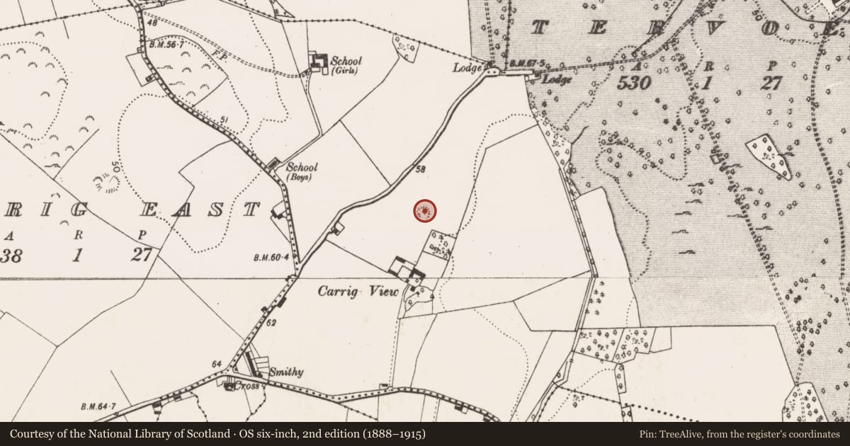 Ordnance Survey six-inch map, 2nd edition (1888–1915) covering the location of Ringfort - rath, Tervoe, County Limerick, with a pin at the register's coordinates