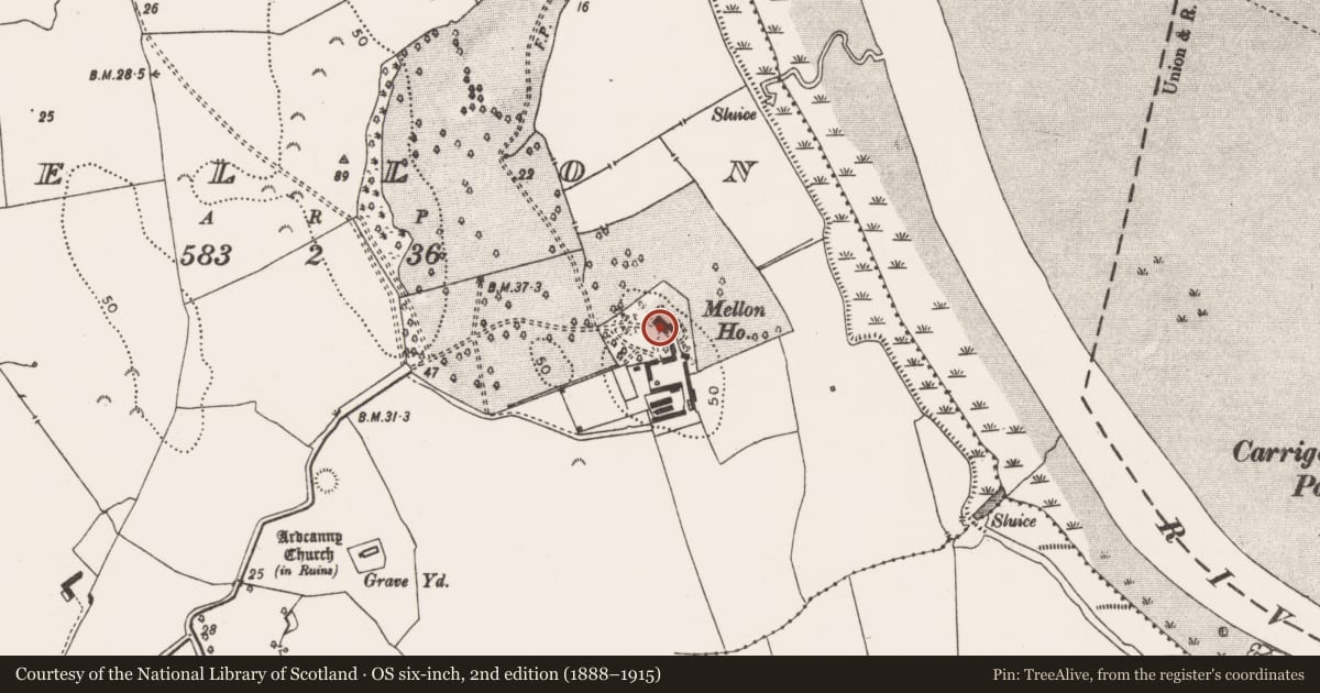 Ordnance Survey six-inch map, 2nd edition (1888–1915) covering the location of Castle - unclassified, Mellon, County Limerick, with a pin at the register's coordinates