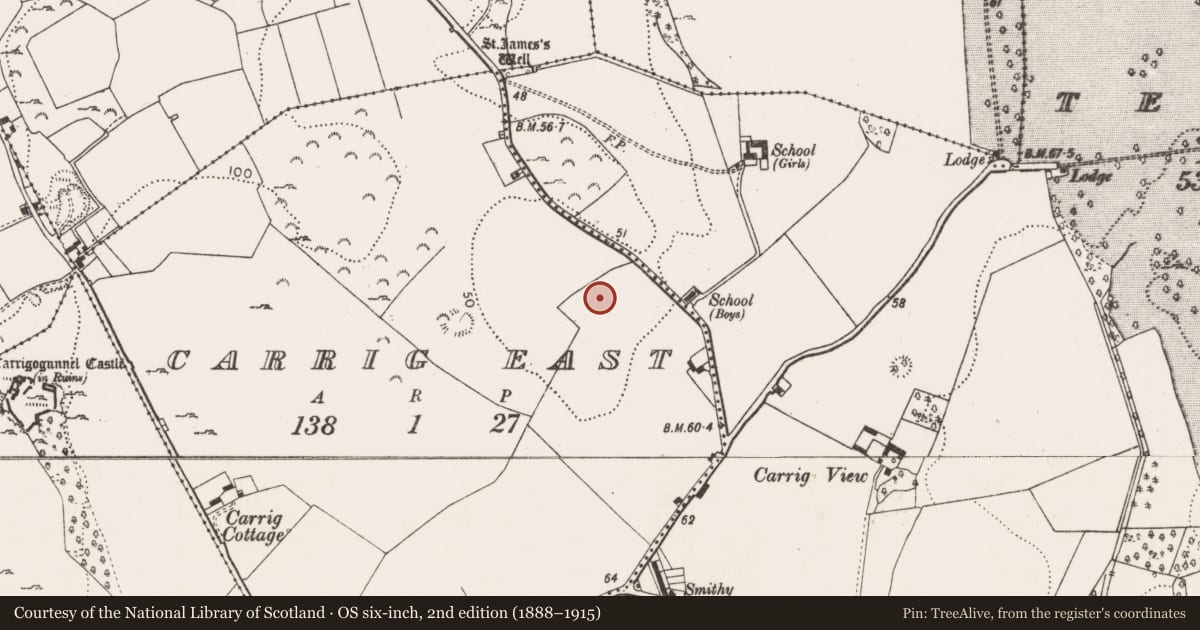 Ordnance Survey six-inch map, 2nd edition (1888–1915) covering the location of Enclosure, Carrig East, County Limerick, with a pin at the register's coordinates