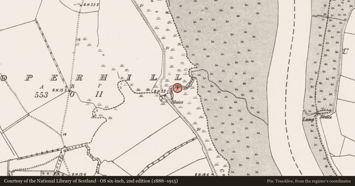 Ordnance Survey six-inch map, 2nd edition (1888–1915) covering the location of Road - road/trackway, Cooperhill, County Limerick, with a pin at the register's coordinates