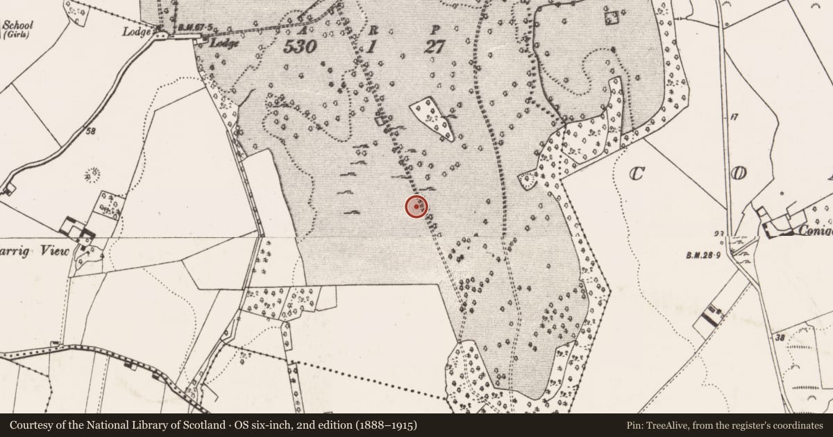 Ordnance Survey six-inch map, 2nd edition (1888–1915) covering the location of Designed landscape feature, Tervoe, County Limerick, with a pin at the register's coordinates