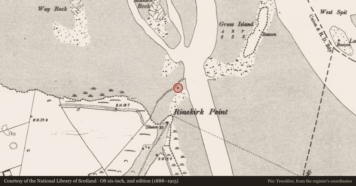 Ordnance Survey six-inch map, 2nd edition (1888–1915) covering the location of Weir - fish, Mellon, County Limerick, with a pin at the register's coordinates