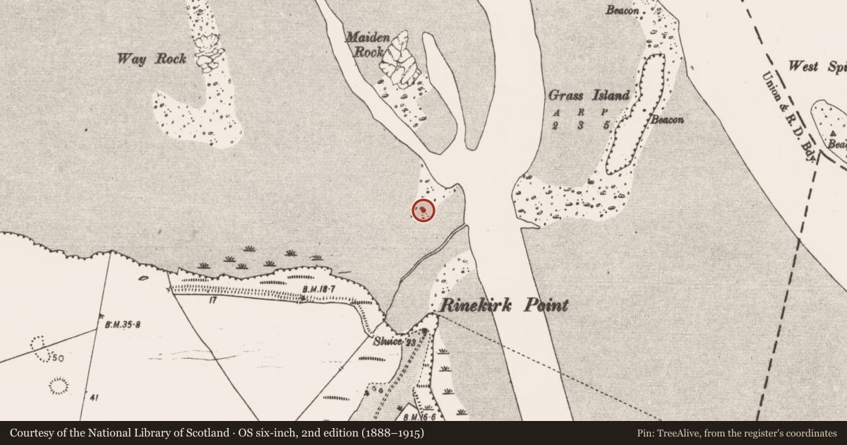 Ordnance Survey six-inch map, 2nd edition (1888–1915) covering the location of Weir - fish, Mellon, County Limerick, with a pin at the register's coordinates