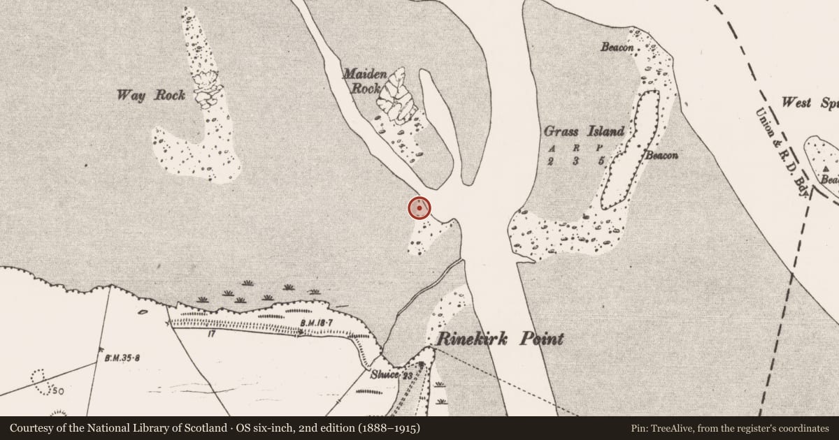 Ordnance Survey six-inch map, 2nd edition (1888–1915) covering the location of Weir - fish, Mellon, County Limerick, with a pin at the register's coordinates