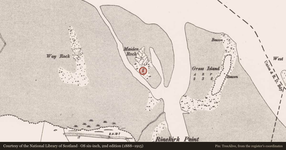 Ordnance Survey six-inch map, 2nd edition (1888–1915) covering the location of Weir - fish, Mellon, County Limerick, with a pin at the register's coordinates