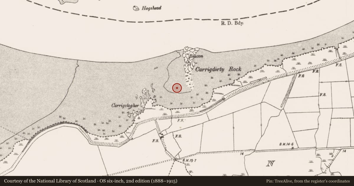 Ordnance Survey six-inch map, 2nd edition (1888–1915) covering the location of Weir - fish, Newtown, County Limerick, with a pin at the register's coordinates