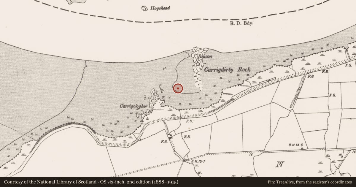 Ordnance Survey six-inch map, 2nd edition (1888–1915) covering the location of Weir - fish, Newtown, County Limerick, with a pin at the register's coordinates