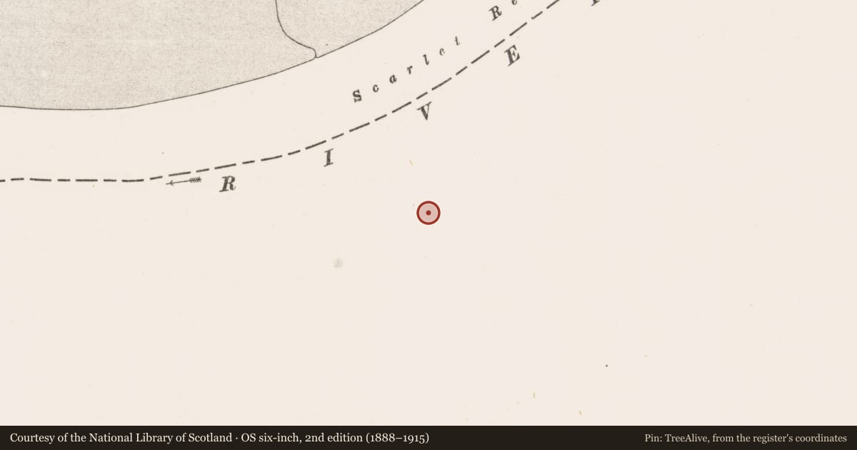 Ordnance Survey six-inch map, 2nd edition (1888–1915) covering the location of Habitation site, Newtown, County Limerick, with a pin at the register's coordinates