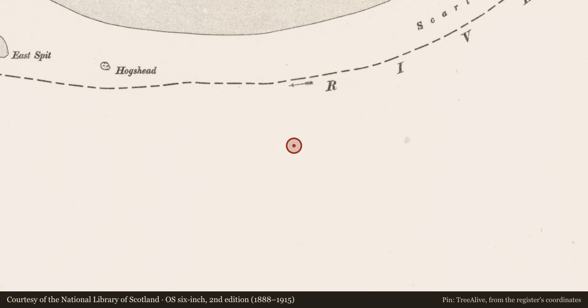 Ordnance Survey six-inch map, 2nd edition (1888–1915) covering the location of Post row - peatland, Newtown, County Limerick, with a pin at the register's coordinates
