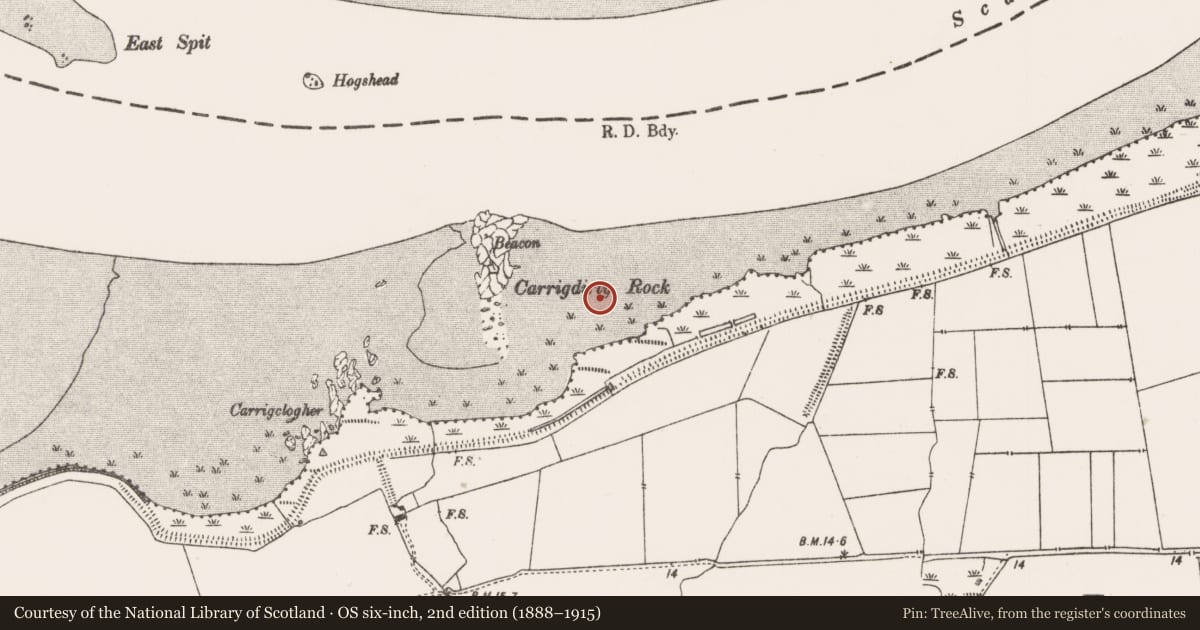 Ordnance Survey six-inch map, 2nd edition (1888–1915) covering the location of Excavation - miscellaneous, Newtown, County Limerick, with a pin at the register's coordinates