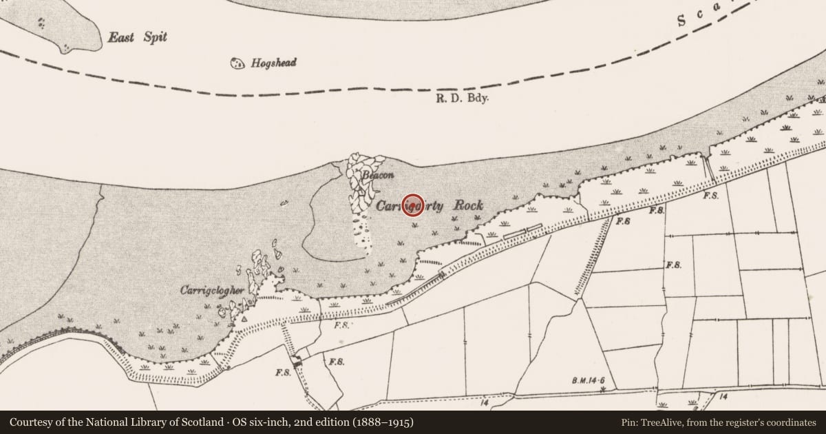 Ordnance Survey six-inch map, 2nd edition (1888–1915) covering the location of Post row - peatland, Newtown, County Limerick, with a pin at the register's coordinates
