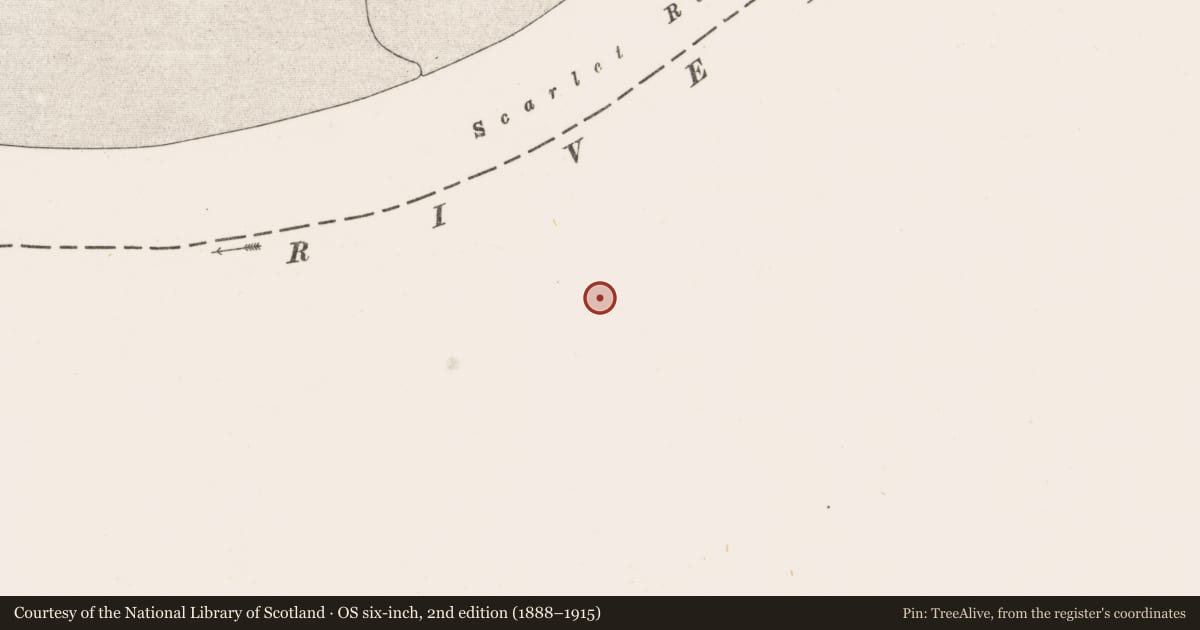 Ordnance Survey six-inch map, 2nd edition (1888–1915) covering the location of Road - unclassified togher, Newtown, County Limerick, with a pin at the register's coordinates
