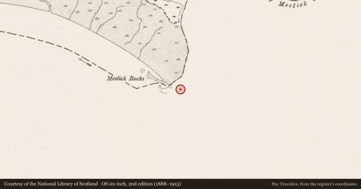 Ordnance Survey six-inch map, 2nd edition (1888–1915) covering the location of Excavation - miscellaneous, Coonagh West, County Limerick, with a pin at the register's coordinates