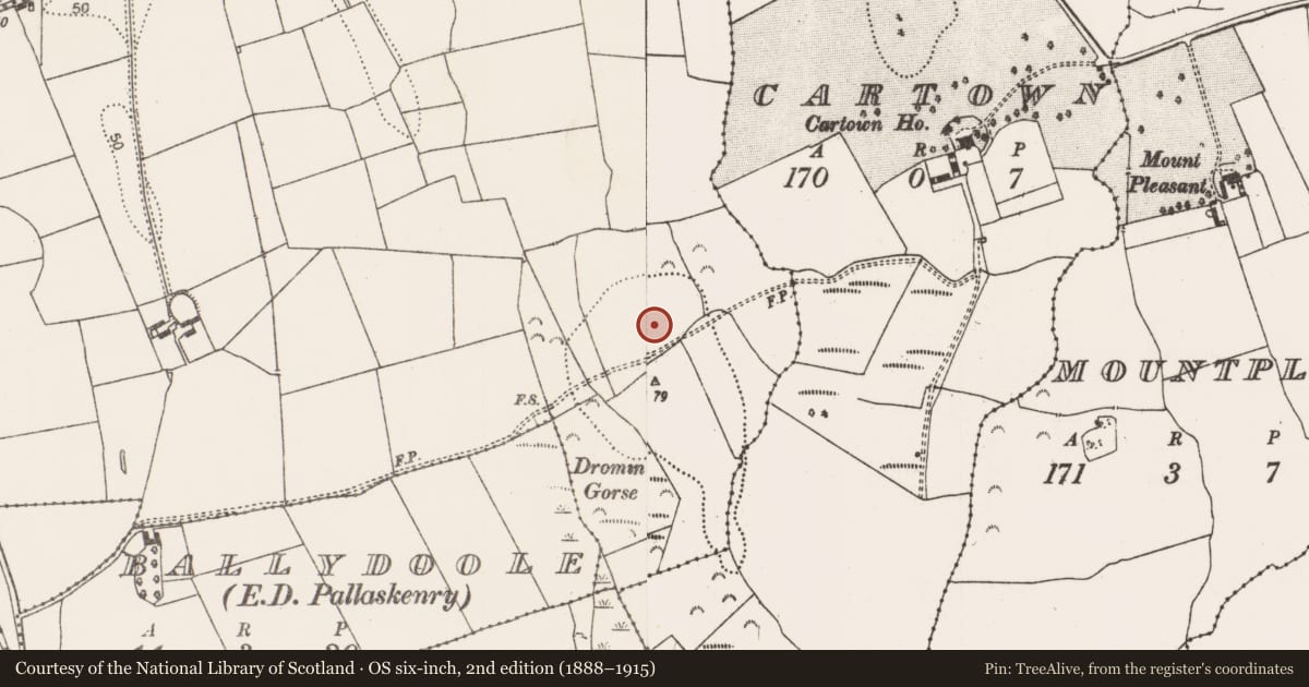 Ordnance Survey six-inch map, 2nd edition (1888–1915) covering the location of Enclosure, Ballydoole, County Limerick, with a pin at the register's coordinates