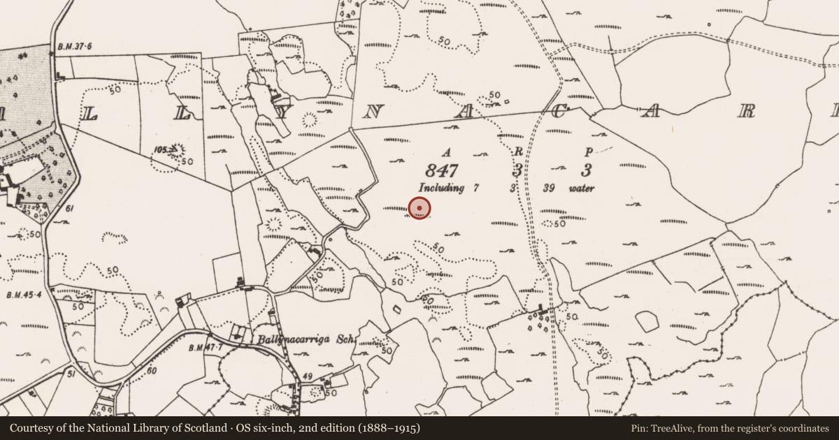 Ordnance Survey six-inch map, 2nd edition (1888–1915) covering the location of Enclosure, Ballynacarriga, County Limerick, with a pin at the register's coordinates