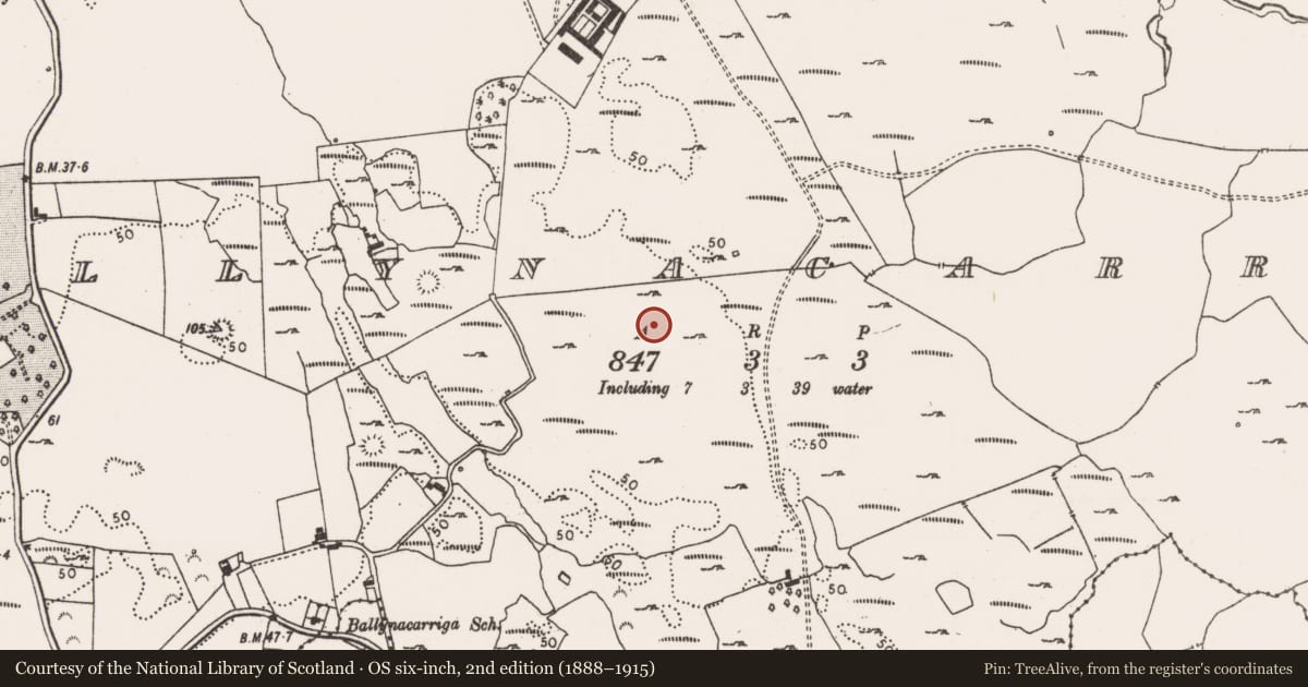 Ordnance Survey six-inch map, 2nd edition (1888–1915) covering the location of Field system, Ballynacarriga, County Limerick, with a pin at the register's coordinates