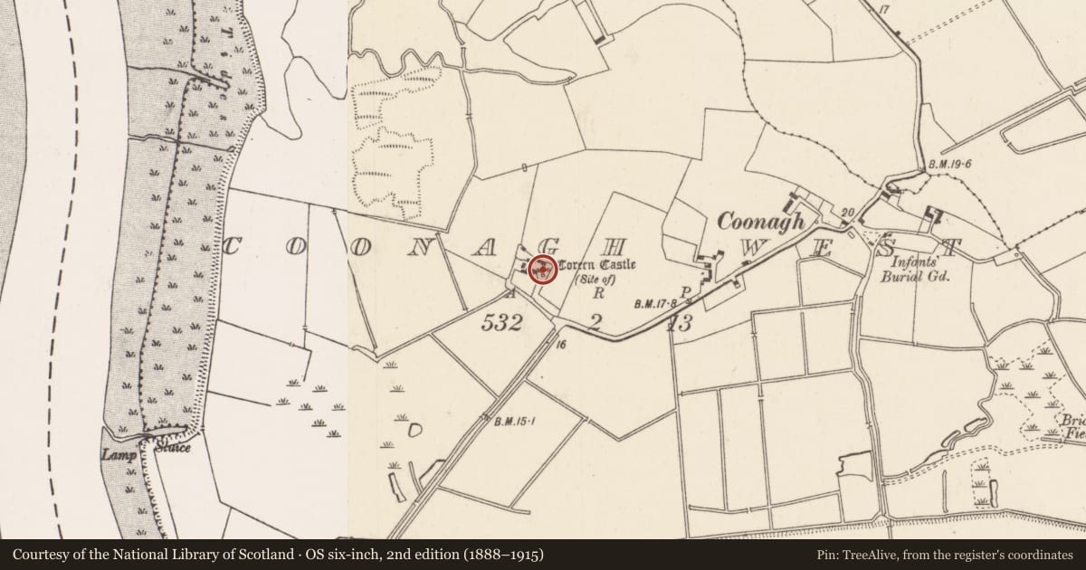 Ordnance Survey six-inch map, 2nd edition (1888–1915) covering the location of Castle - unclassified, Coonagh West, County Limerick, with a pin at the register's coordinates