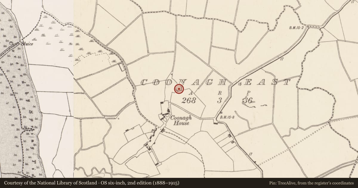 Ordnance Survey six-inch map, 2nd edition (1888–1915) covering the location of Ringfort - rath, Coonagh East, County Limerick, with a pin at the register's coordinates